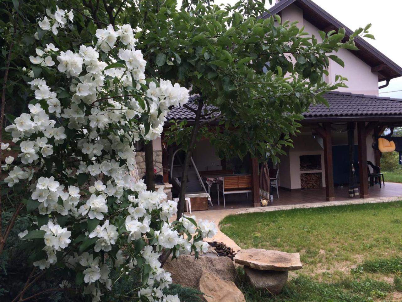 Charming Luxury Villa سراييفو المظهر الخارجي الصورة
